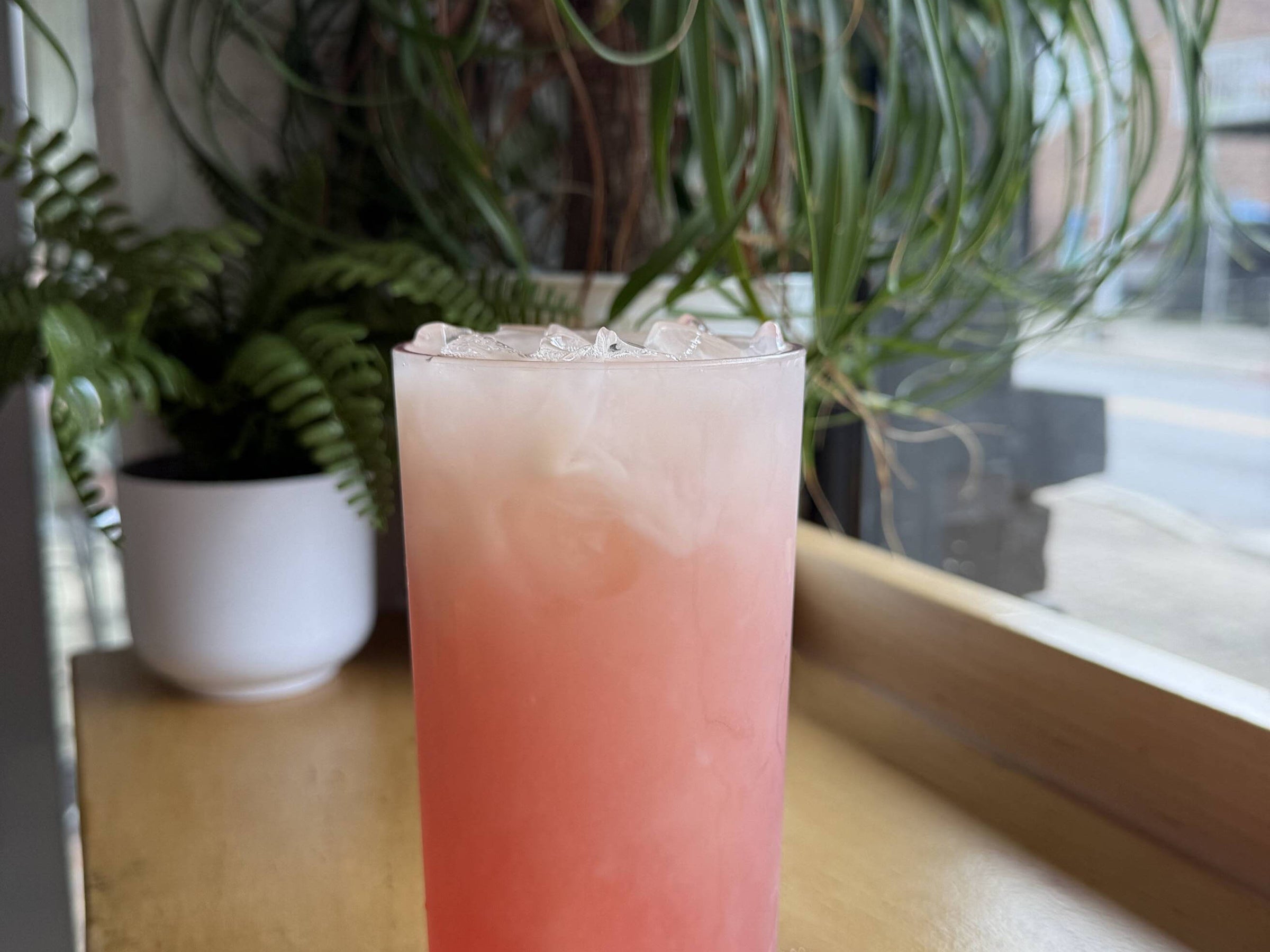 Chasing Cali Collective - Image 9