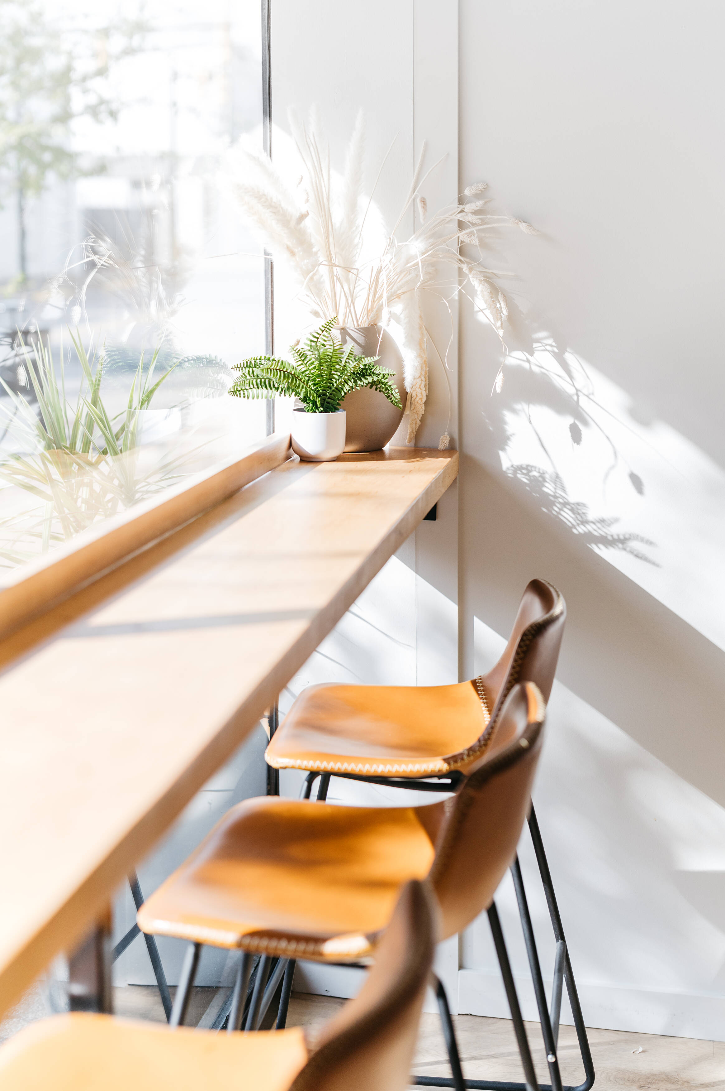 Chasing Cali Collective - Image 13